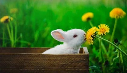 开云品牌-【比赛总结】胜负背后隐藏的战术智慧，比赛有胜负的下一句